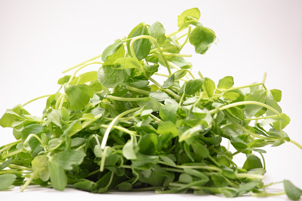 Vegetable cooking water for broth